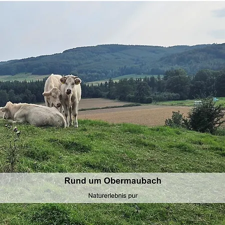 Tobi's Eifelhaus Holiday home Kreuzau