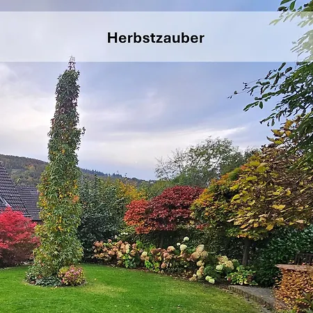 Tobi's Eifelhaus * Kreuzau
